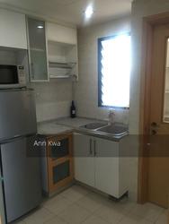 Dunman View (D15), Condominium #151802552